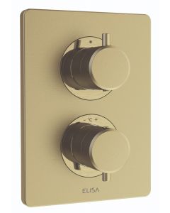 Rosa Dual Control Concealed Mixer - Brushed Brass